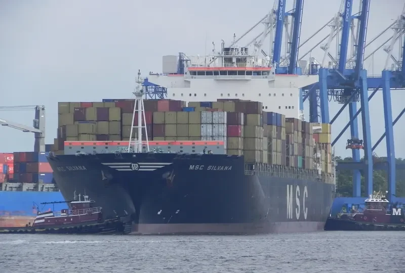 MSC SILVANA Container Ship IMO 9309459 photo 6