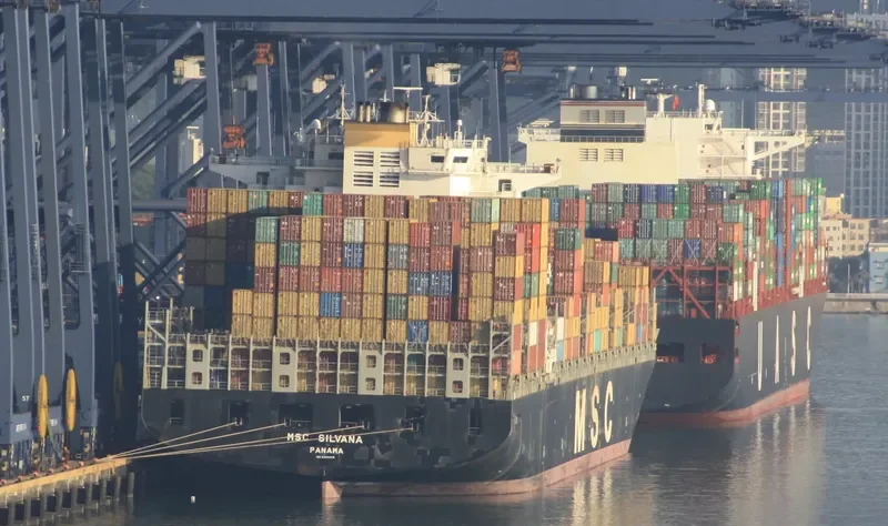 MSC SILVANA Container Ship IMO 9309459 photo 8
