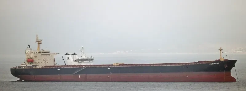 CYMONA STAR Bulk Carrier IMO 9309485