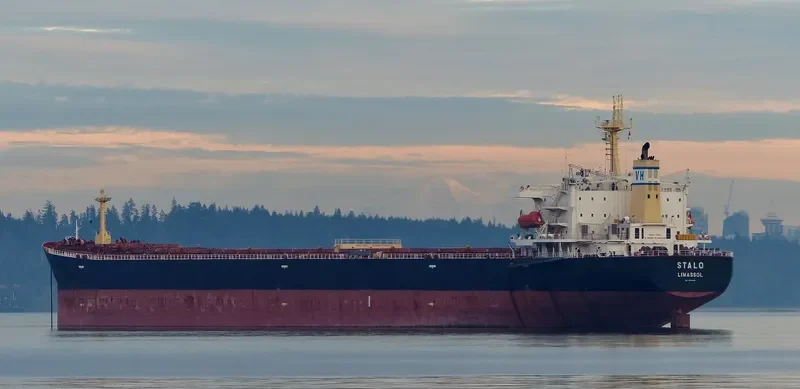 CYMONA STAR Bulk Carrier IMO 9309485 photo 9