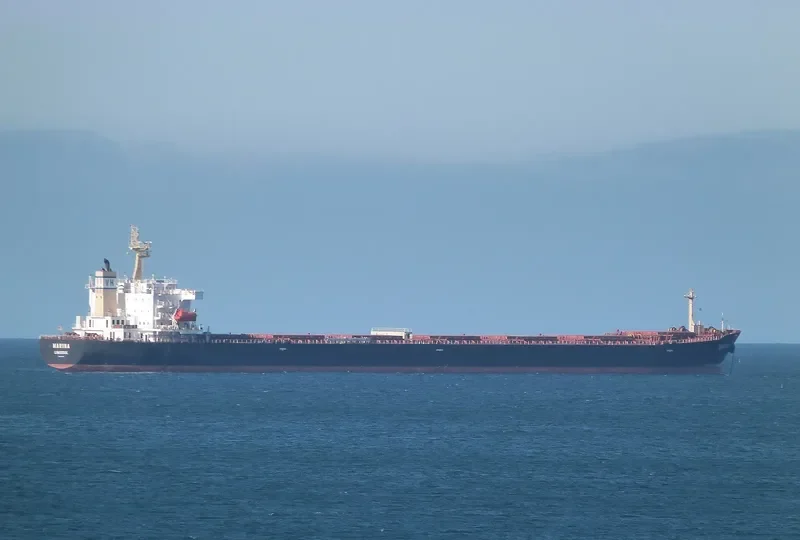 MARINA Bulk Carrier IMO 9309497 photo 2