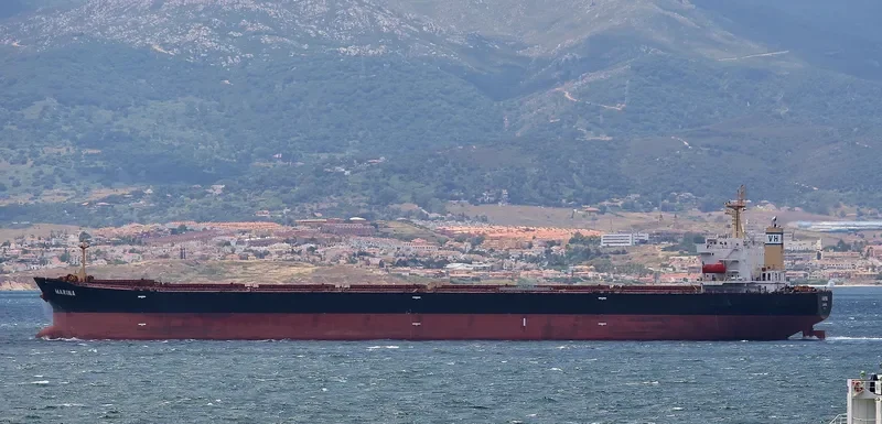 MARINA Bulk Carrier IMO 9309497 photo 3