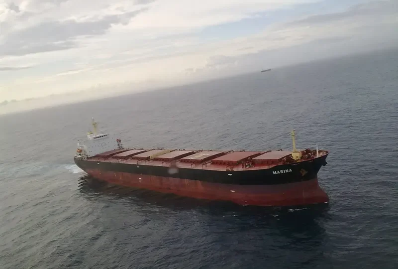 MARINA Bulk Carrier IMO 9309497 photo 7