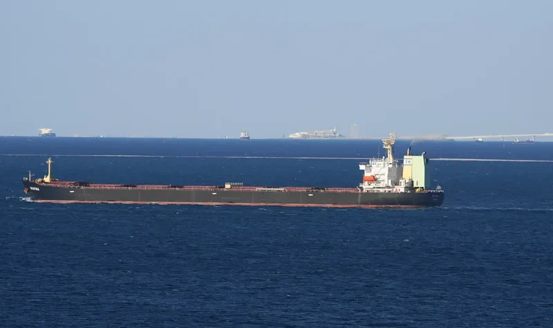 MARINA Bulk Carrier IMO 9309497 photo 8