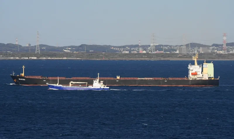 MARINA Bulk Carrier IMO 9309497 photo 9