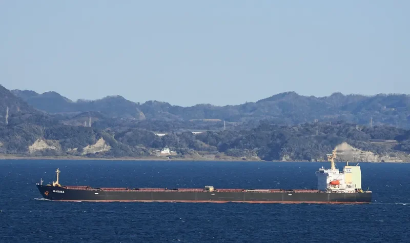 MARINA Bulk Carrier IMO 9309497 photo 10