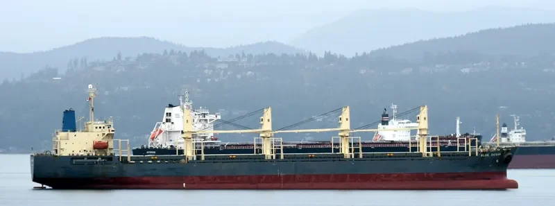 HAI NAM 89 General Cargo IMO 9309605