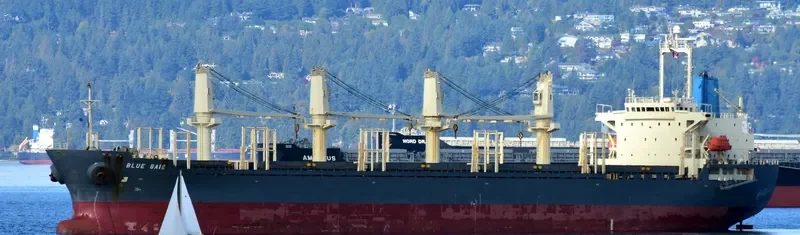 BLUE BAIE General Cargo IMO 9309617 photo 3