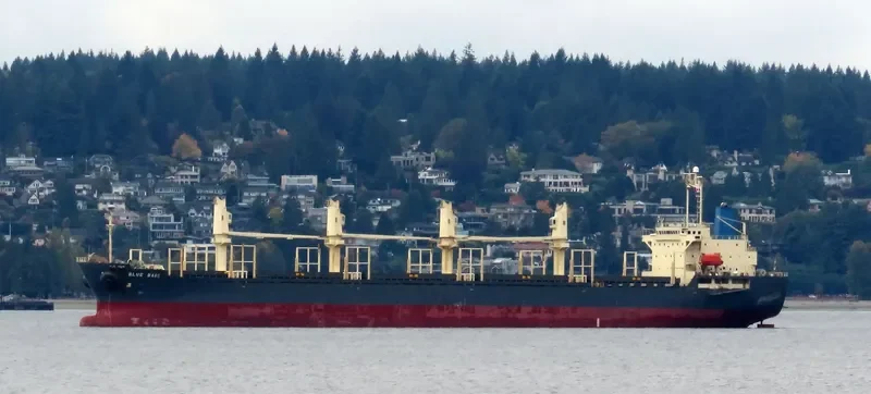 BLUE BAIE General Cargo IMO 9309617 photo 8