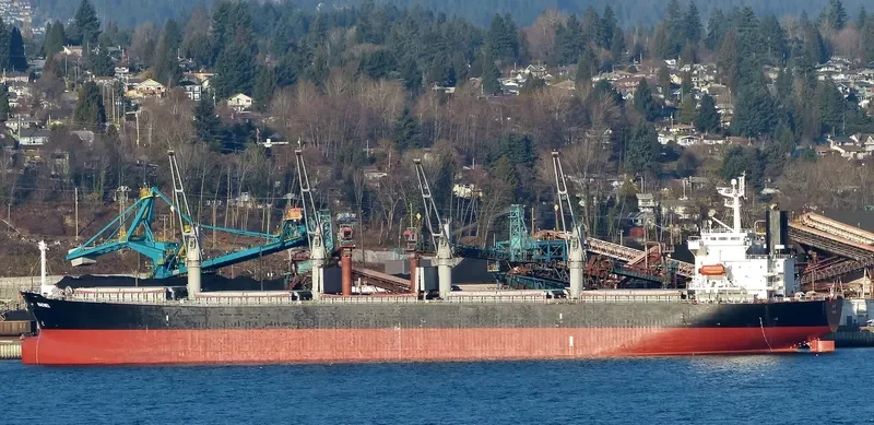 OCEAN TULIP Bulk Carrier IMO 9309631