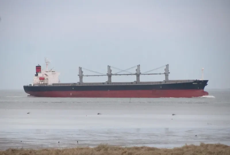 OCEAN TULIP Bulk Carrier IMO 9309631 photo 2