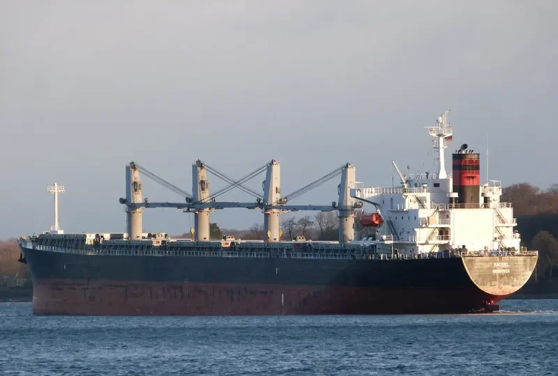 OCEAN TULIP Bulk Carrier IMO 9309631 photo 3