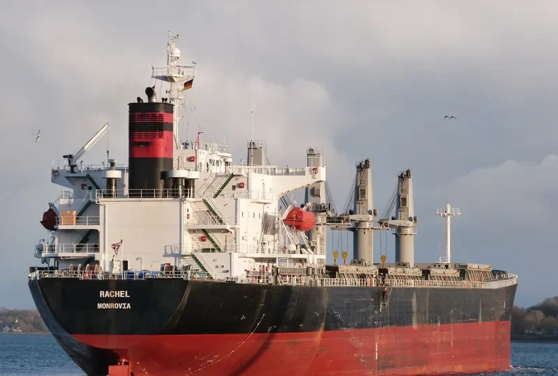 OCEAN TULIP Bulk Carrier IMO 9309631 photo 4
