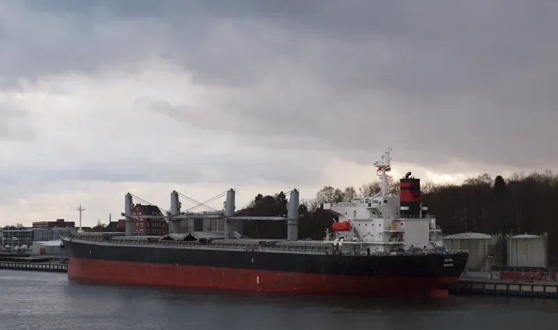 OCEAN TULIP Bulk Carrier IMO 9309631 photo 5