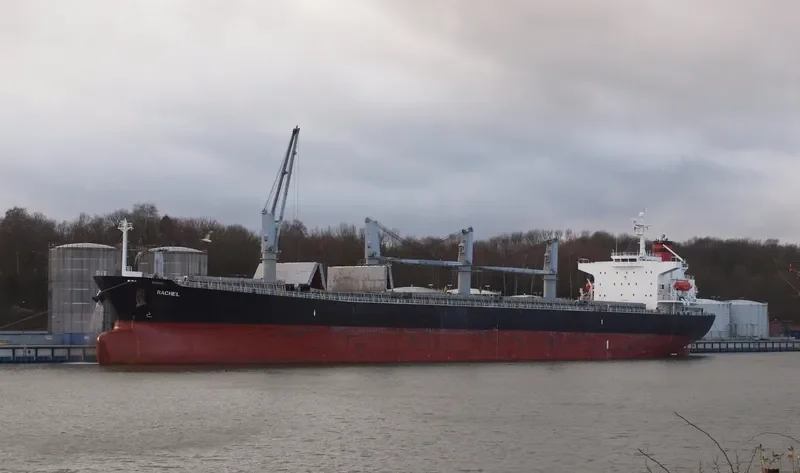 OCEAN TULIP Bulk Carrier IMO 9309631 photo 7