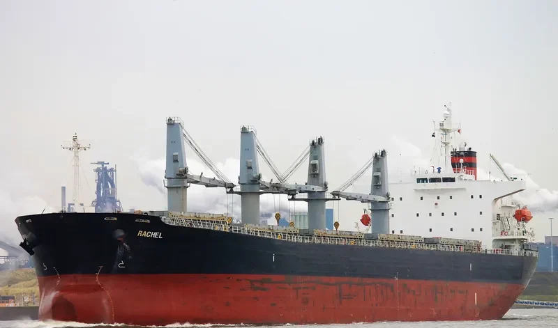 OCEAN TULIP Bulk Carrier IMO 9309631 photo 8