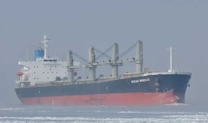 OCEAN BREEZE Bulk Carrier IMO 9309667 photo 4