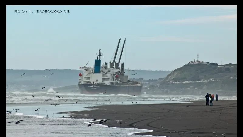 OCEAN BREEZE Bulk Carrier IMO 9309667 photo 5