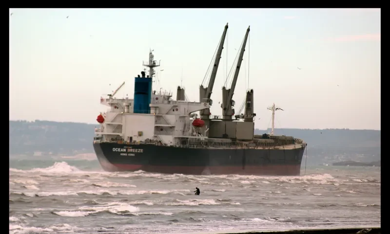 OCEAN BREEZE Bulk Carrier IMO 9309667 photo 6