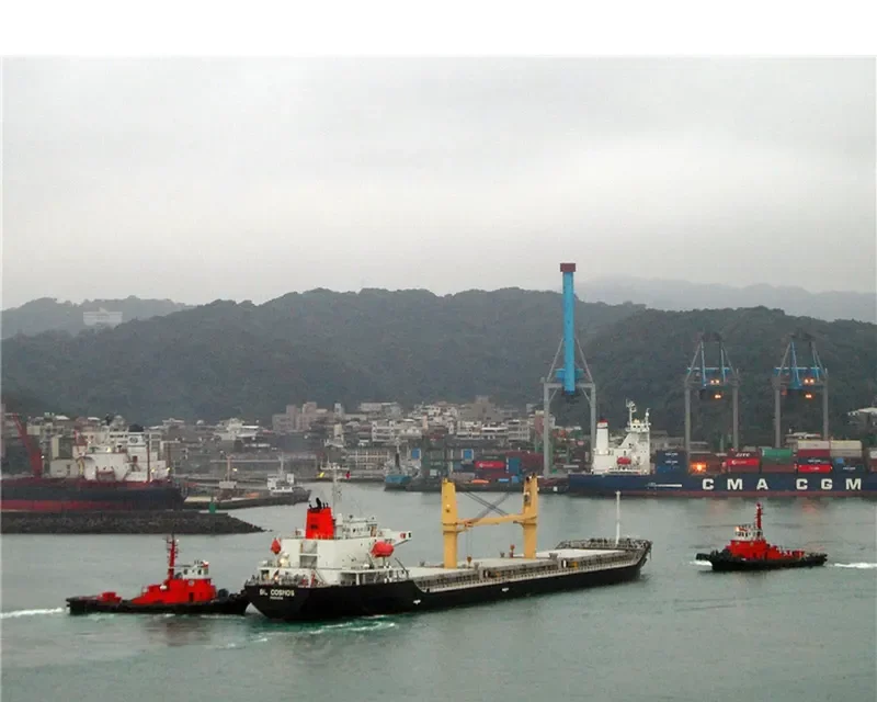 BMC PANDORA Bulk Carrier IMO 9309679 photo 2