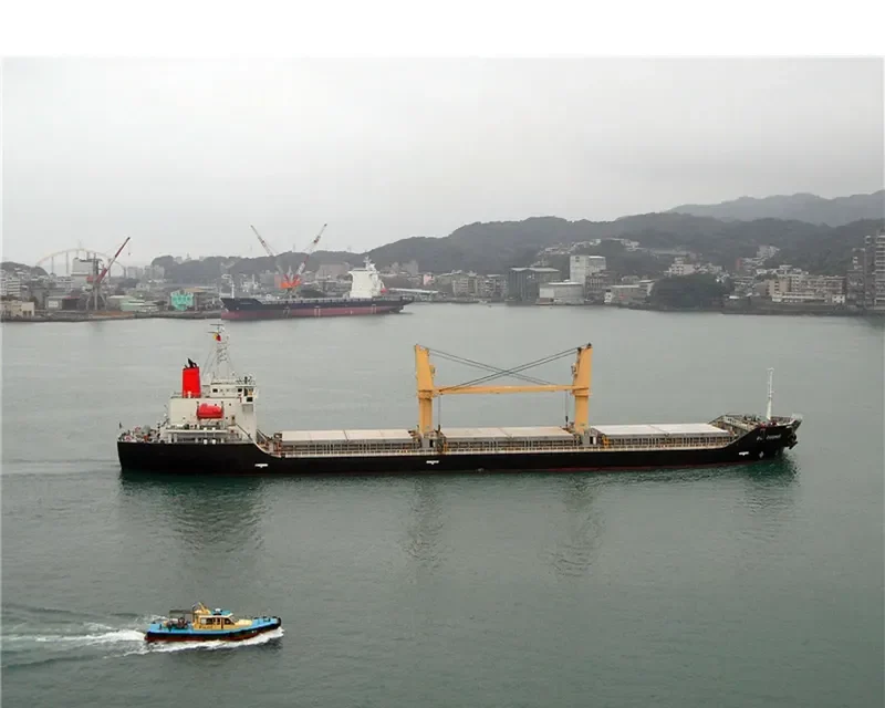 BMC PANDORA Bulk Carrier IMO 9309679 photo 3