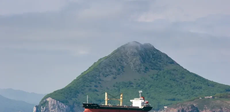 BMC PANDORA Bulk Carrier IMO 9309679 photo 8
