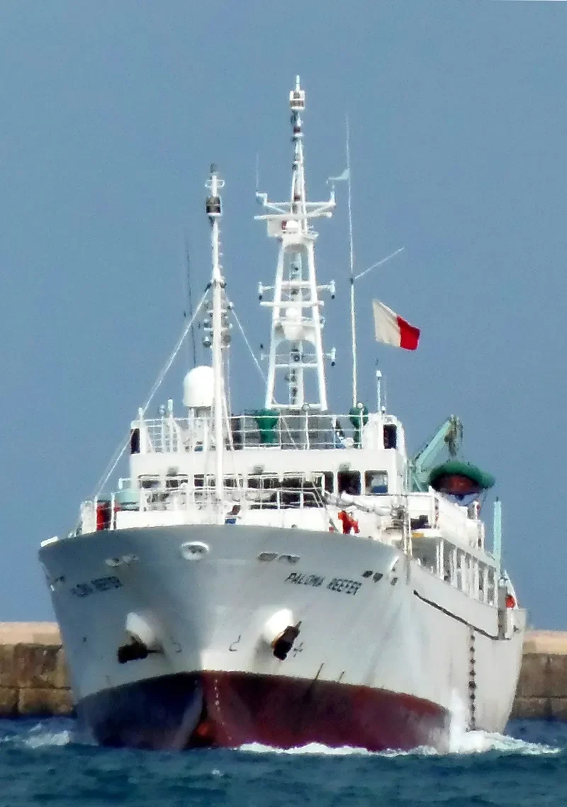 PALOMA REEFER General Cargo IMO 9309681 photo 3