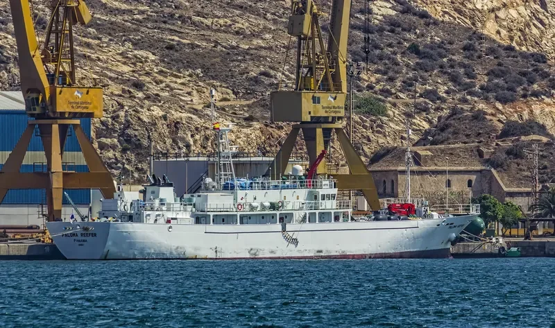 PALOMA REEFER General Cargo IMO 9309681 photo 4