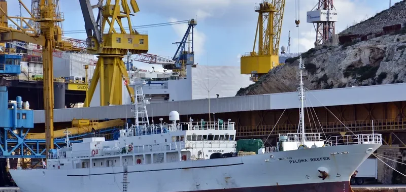 PALOMA REEFER General Cargo IMO 9309681 photo 7