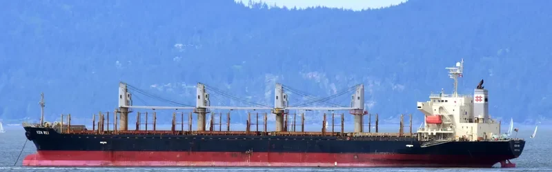 KEN REI Bulk Carrier IMO 9310006