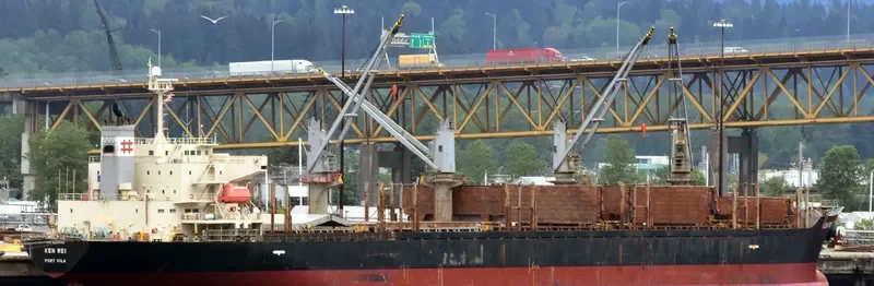 KEN REI Bulk Carrier IMO 9310006 photo 2