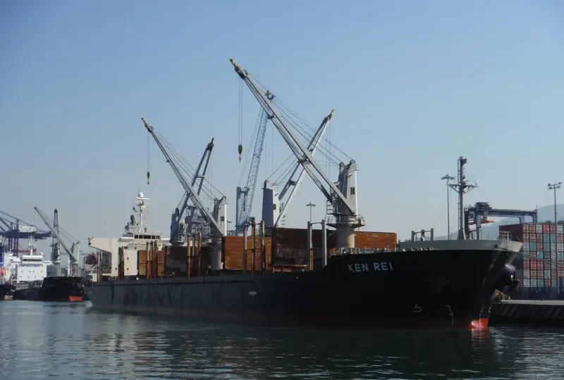 KEN REI Bulk Carrier IMO 9310006 photo 4