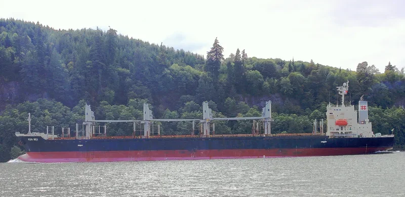 KEN REI Bulk Carrier IMO 9310006 photo 7