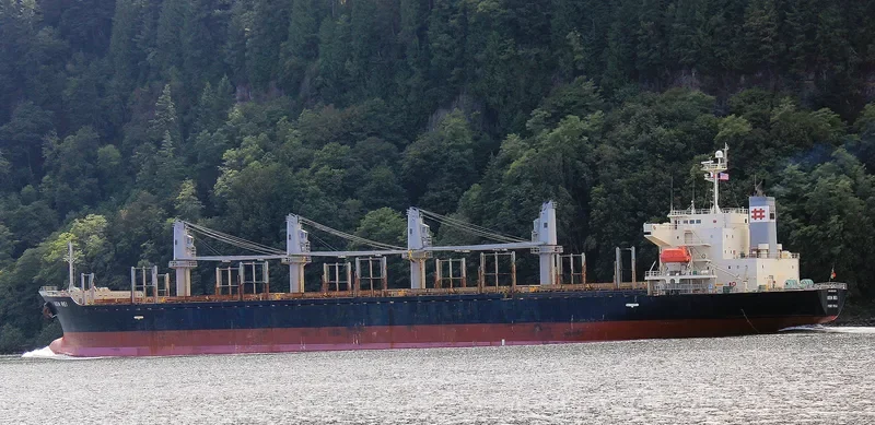 KEN REI Bulk Carrier IMO 9310006 photo 9