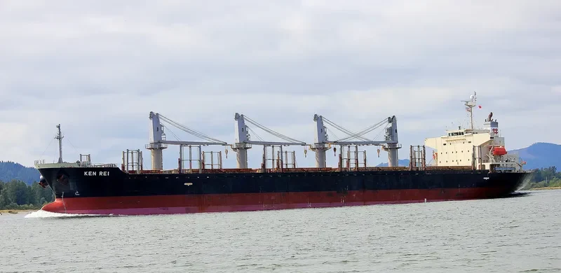 KEN REI Bulk Carrier IMO 9310006 photo 10