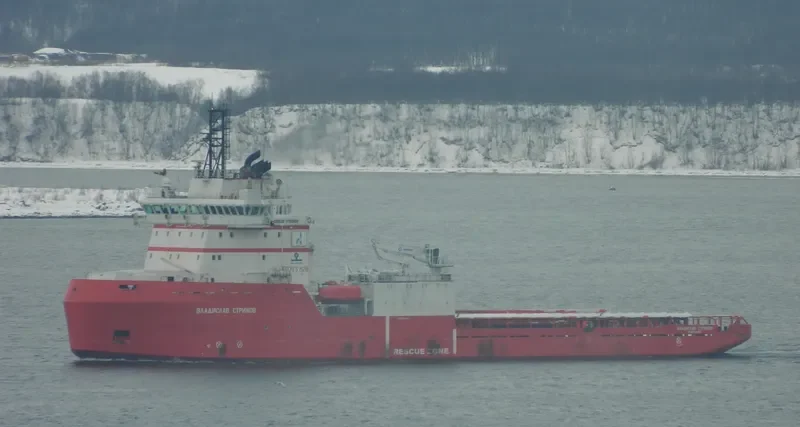 VLADISLAV STRIZHOV General Cargo IMO 9310018 photo 9