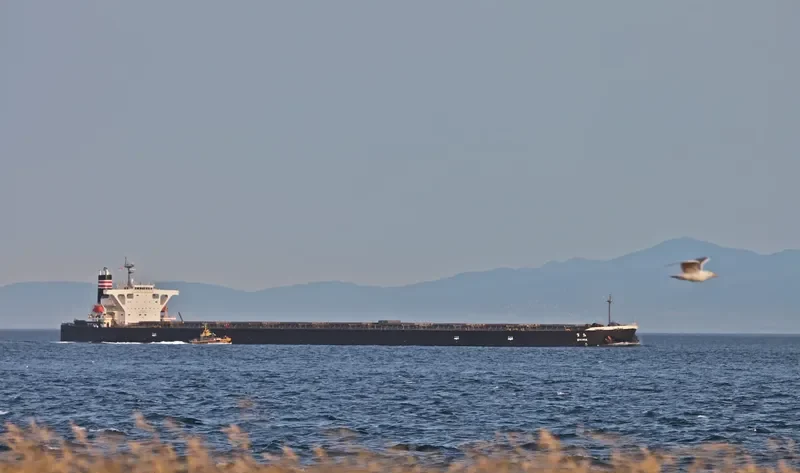 KYMOPOLIA Bulk Carrier IMO 9310123 photo 10