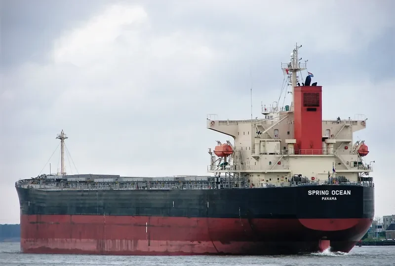 PANASIATIC Bulk Carrier IMO 9310276