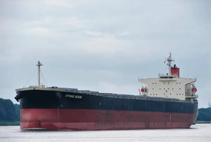 PANASIATIC Bulk Carrier IMO 9310276 photo 2