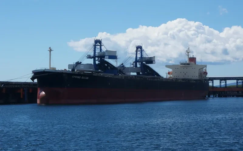 PANASIATIC Bulk Carrier IMO 9310276 photo 7