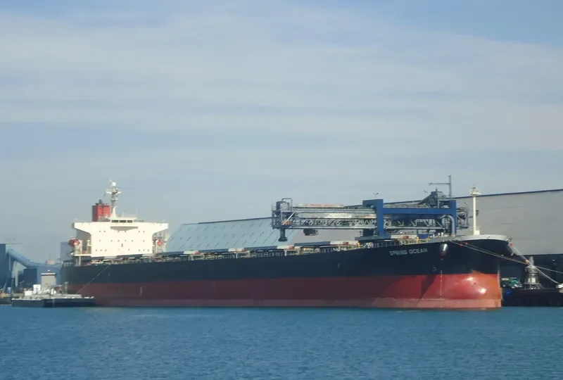 PANASIATIC Bulk Carrier IMO 9310276 photo 9