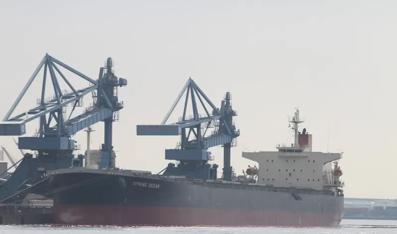 PANASIATIC Bulk Carrier IMO 9310276 photo 10