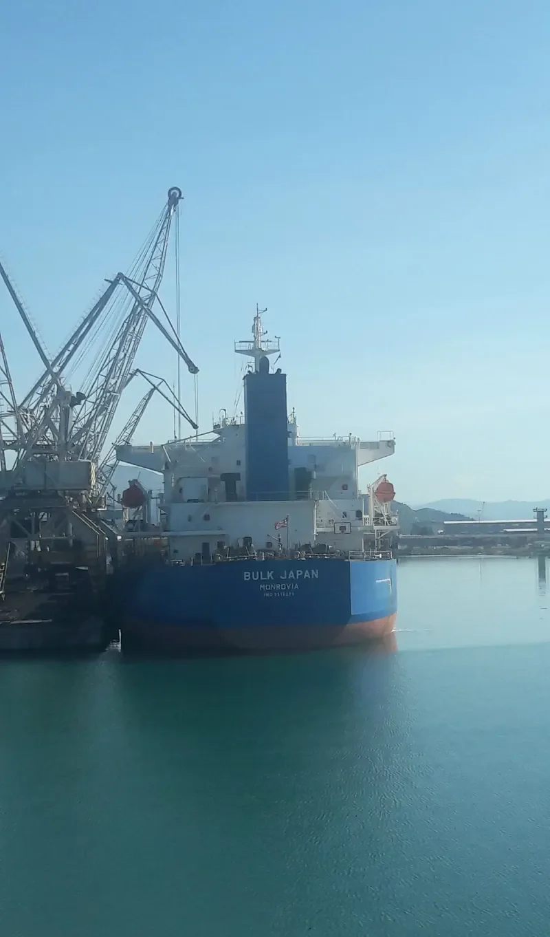 BULK JAPAN Bulk Carrier IMO 9310290