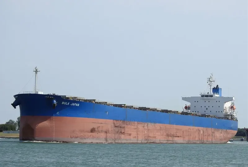 BULK JAPAN Bulk Carrier IMO 9310290 photo 2