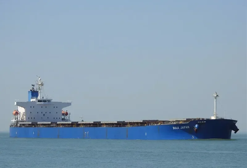 BULK JAPAN Bulk Carrier IMO 9310290 photo 4
