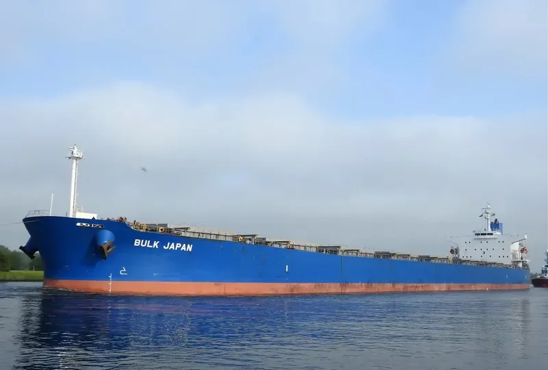 BULK JAPAN Bulk Carrier IMO 9310290 photo 5