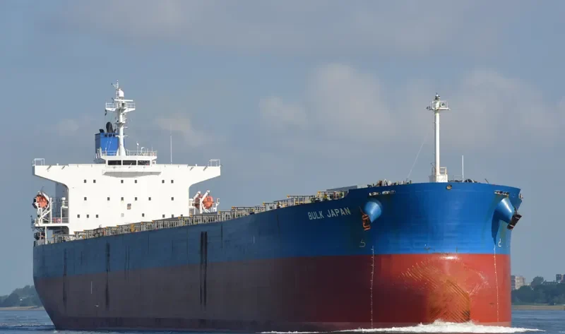 BULK JAPAN Bulk Carrier IMO 9310290 photo 7