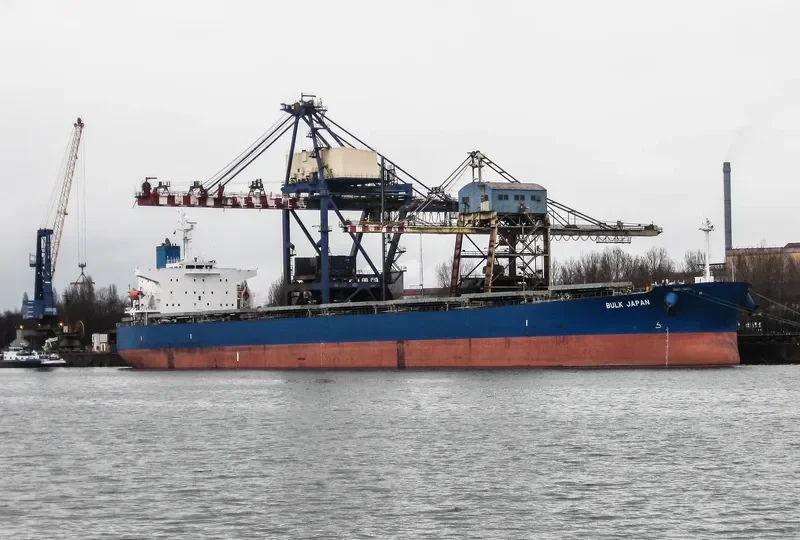 BULK JAPAN Bulk Carrier IMO 9310290 photo 8