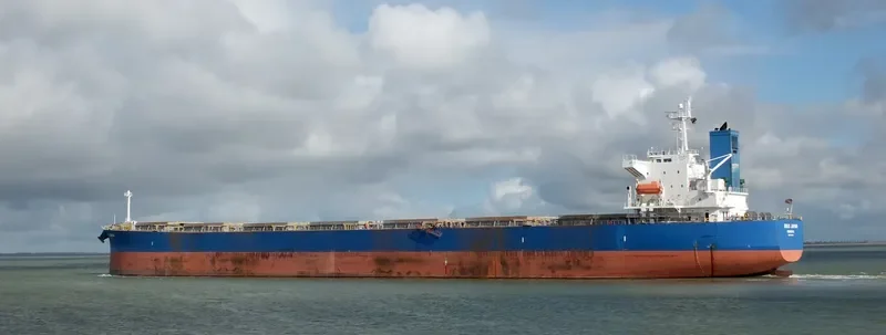 BULK JAPAN Bulk Carrier IMO 9310290 photo 10