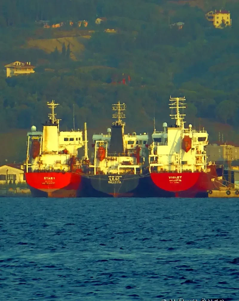 IHEM Tanker IMO 9310379
